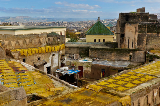 Yellow Sheep Leathers on Rooftops of Fes