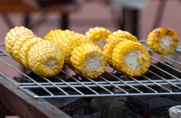 Cob grilling