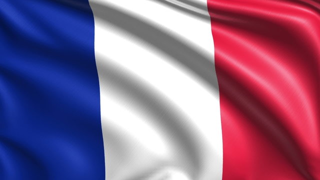 flag of France with fabric structure; looping