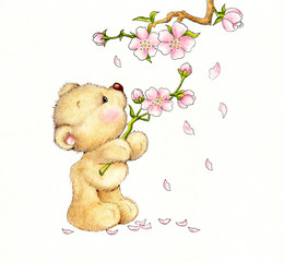 Cute Teddy bear - 70409031