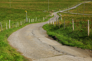 camino s