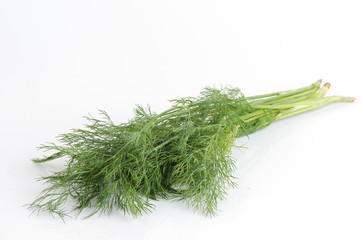 dill herb leaf close up macro isolated on white background