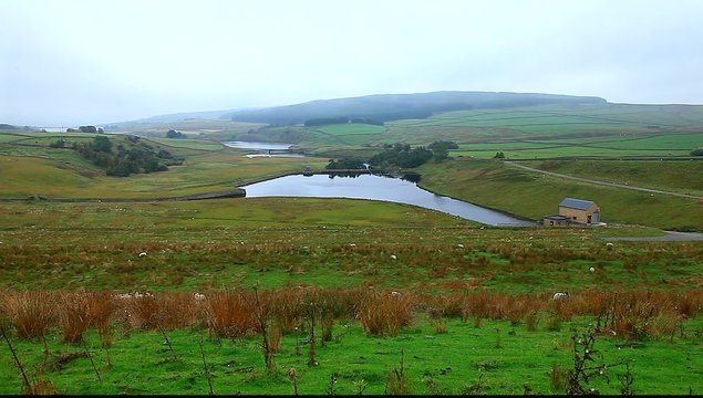 grassholme reservoir uk