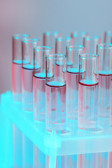 Test tubes with liquid on grey background