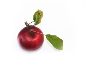 Apfel auf weissem Hintergrund