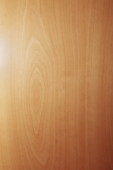 Birke Holz Hintergrund