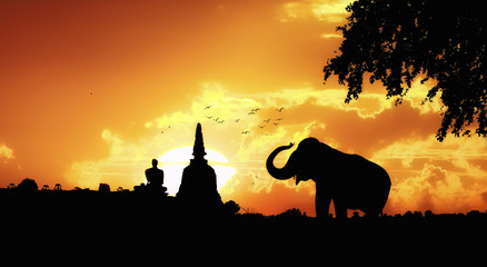 Fototapeta na wymiar Elephant silhouette in thailand
