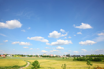Feld Landschaft