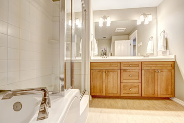 Bathroom interior with bath tub and shower