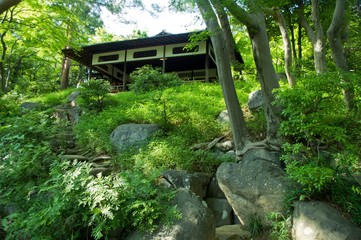 Naklejka premium Japanese garden
