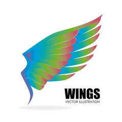 Wings design