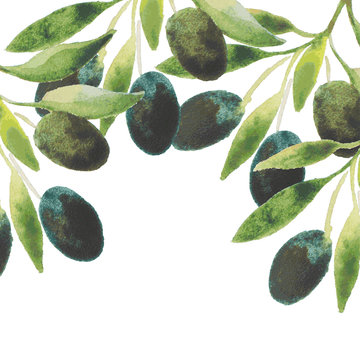 vector watercolor olive oil branches backdrop