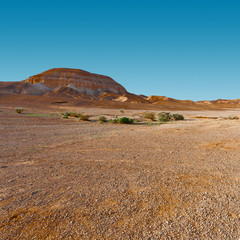 Judean Desert