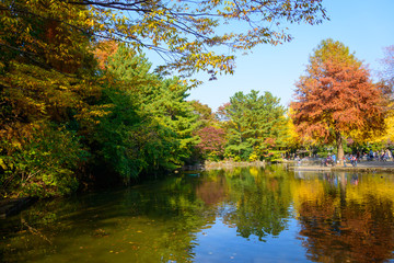 Hikarigaoka park in autumn in Tokyo