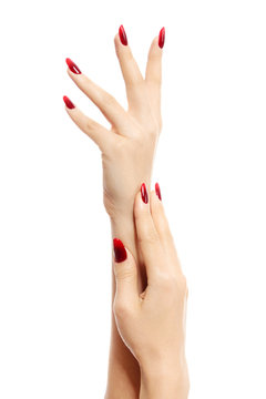 Female hands with red fingernails