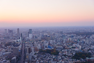 Tokyo in the twilight, direction to Shibuya, Shinjuku