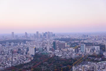 Möbelaufkleber Tokyo in the twilight, direction to Shibuya, Shinjuku © Scirocco340
