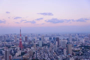 Foto op Canvas Tokyo in the twilight, direction to the Tokyo Tower and Shinagaw © Scirocco340