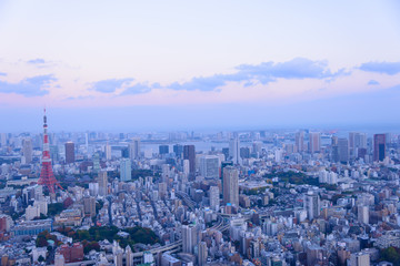 Tokyo in the twilight, direction to the Tokyo Tower and Shinagaw