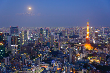 Tokyo in the twilight, direction to the Tokyo Tower and Shinagaw