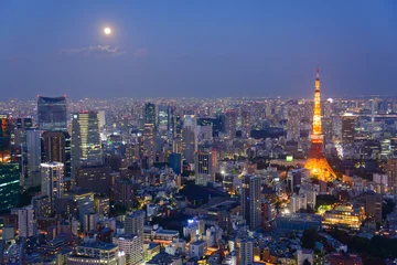 Foto op Aluminium Tokyo in the twilight, direction to the Tokyo Tower and Shinagaw © Scirocco340
