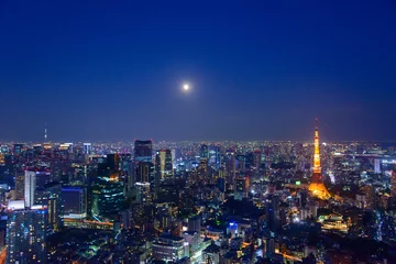 Foto op Plexiglas Tokyo in the twilight, direction to the Tokyo Tower and Shinagaw © Scirocco340