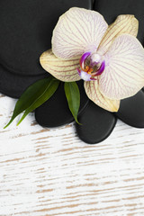 Spa Accessories