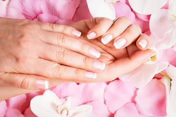 Fototapeta premium beautiful hands with manicure