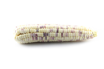 Fresh corn on white.