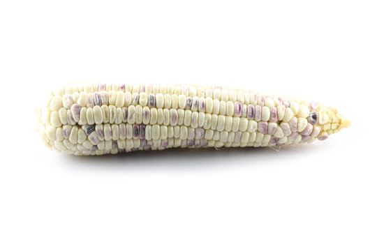 Fresh corn on white.