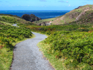 Path to the Kynance Cove, Cornwall