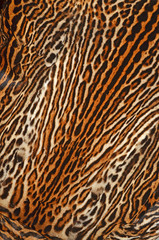 pelle di gattopardo americano