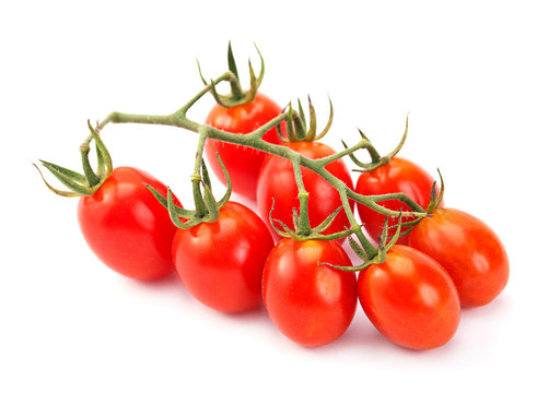 Cherry tomatoes branch