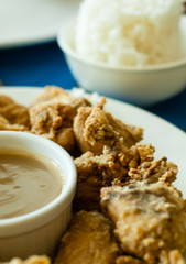 Fried Chicken Plate