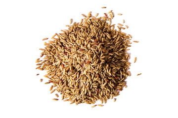 Germinated brown rice