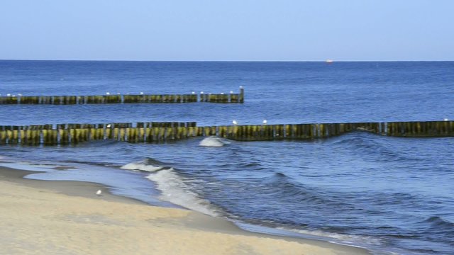 Buhne am Ostseestrand in Polen