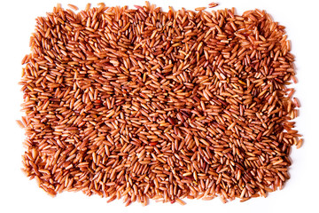 Germinated brown rice