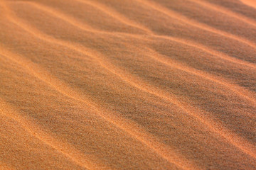 Desert