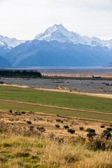Mt. Cook