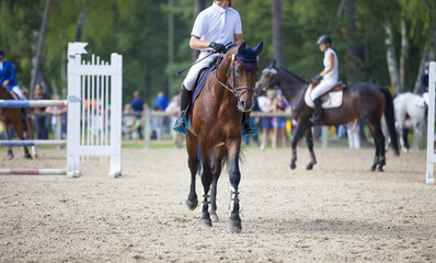 Harmonie parfaite_25