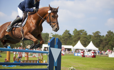 Harmonie parfaite_28