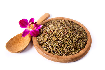 Germinated brown rice