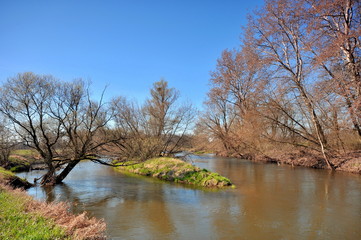 Fototapeta na wymiar Rzeka Bzura