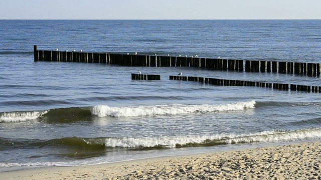 Buhne am Ostseestrand in Polen