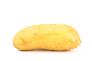 Potato