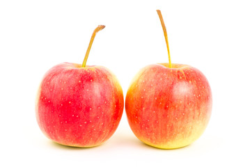 Fresh apple fruit