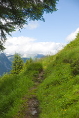 Obraz premium Stilluptal - Zillertal - Alpen