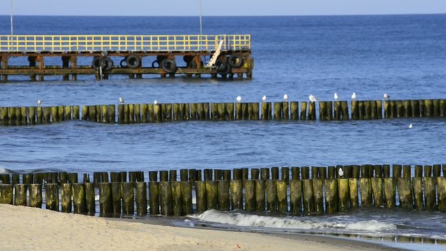 Buhne am Ostseestrand in Polen