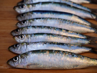 Fresh Adriatic sardines on wooden background