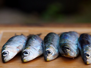 Fresh Adriatic sardines on wooden background